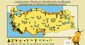 Türkiye Arıcılık Haritası